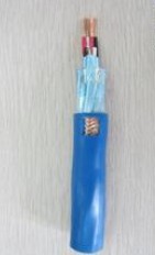 DJYPVP計(jì)算機(jī)電纜_IA-DJYP2VP2本安型計(jì)算機(jī)電纜